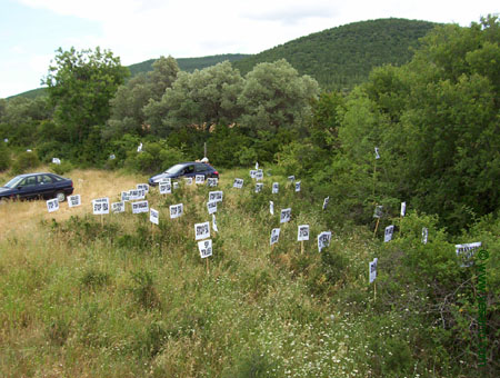 20040620_Carrera 060