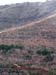 Yesa_grieta_excavadora_20070308_17
