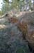 Yesa_grietas_2007 (14)