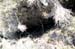 Yesa_grietas_2007 (9)